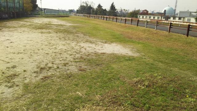 藤川緑地：300m
