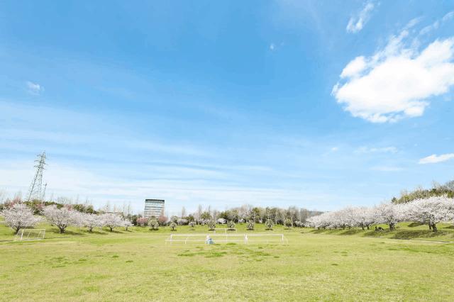 山田ふれあい緑地：239m