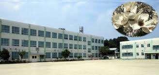 名古屋市立弥富小学校：447m
