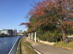 大瀬子街園：300m
