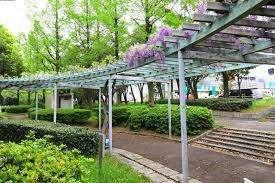 十一屋川緑地：212m