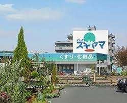 ドラッグスギヤマ入場店：562m