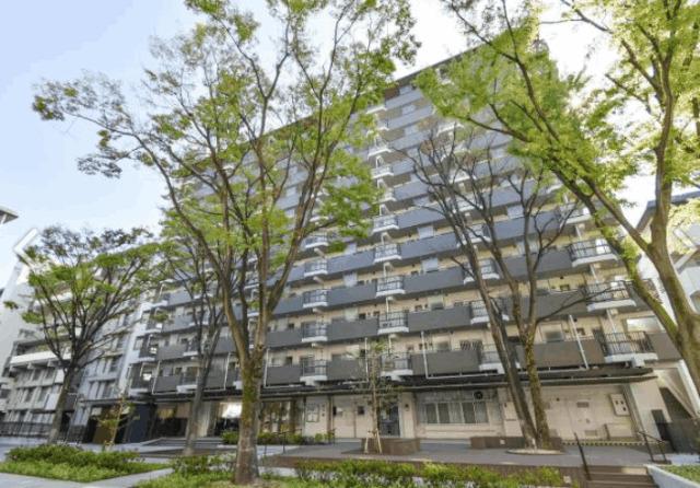 金山駅より徒歩9分 築46年 8階建の賃貸物件