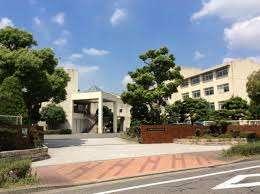 高校