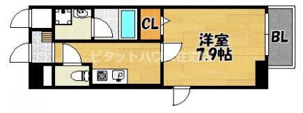 アンビション（807） 間取り図画像