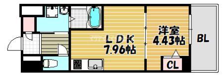 ドムス吉田（204） 間取り図画像