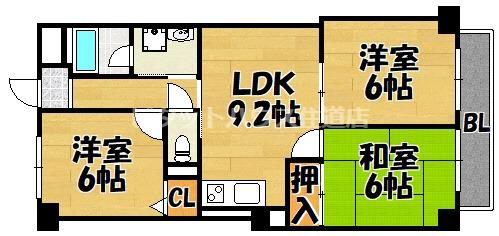 グランミッシェル（303） 間取り図画像