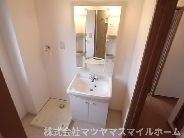 エーデルハイムA棟（205） 洗面