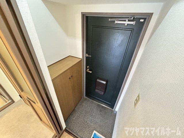 メイフェアN（206） 玄関