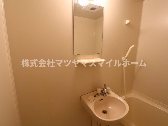 ランドロードトミオ（205） 洗面