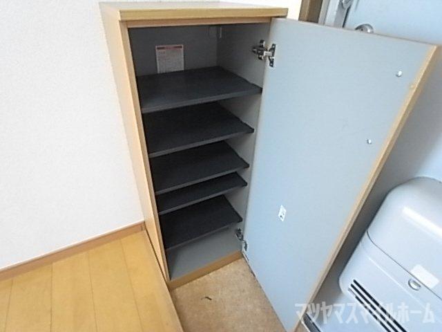 サングリーン野崎（204） 収納