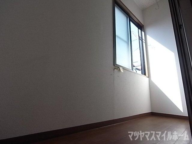 サングリーン野崎（204） 部屋画像