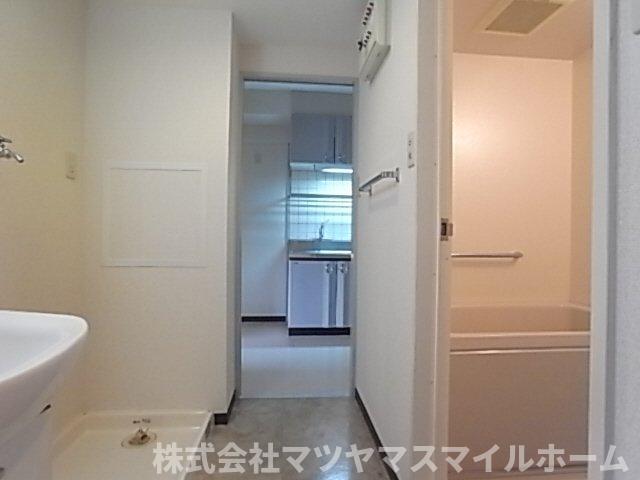 ベルカーサ太子田（502） 洗面