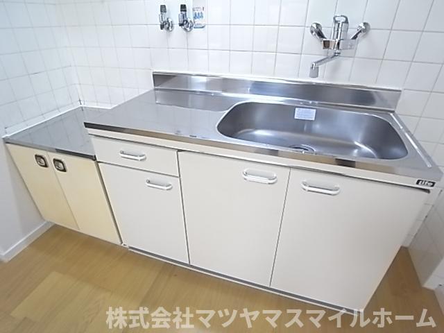 忍ヶ丘グリーンハイツ（201） キッチン
