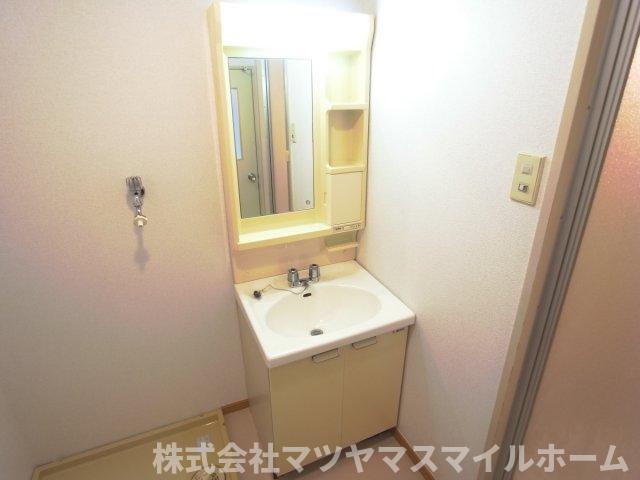 ビューテラス畷A棟（205） 洗面