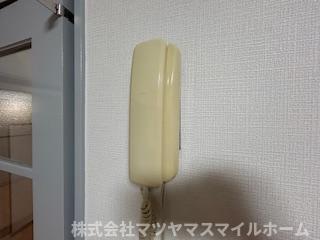三箇6丁目貸家（1） セキュリティ