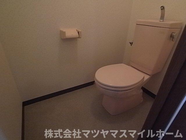 グレース深野（303） トイレ
