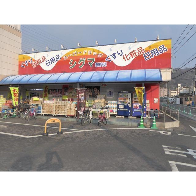 レナジア大東（409） 部屋画像
