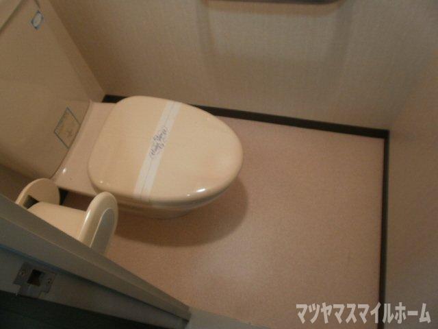 エコーハイツ（103） トイレ
