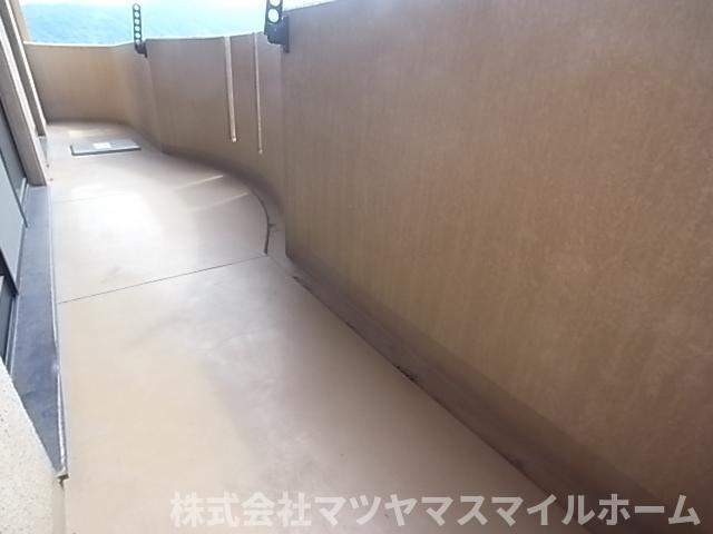 フローリッシュ北田（705） バルコニー