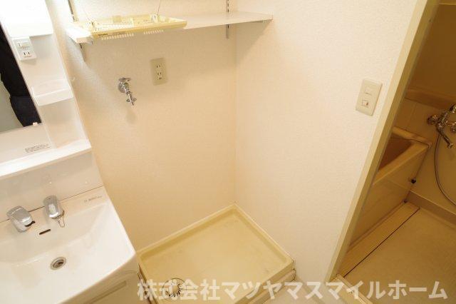シロハイヌ今米（403） その他
