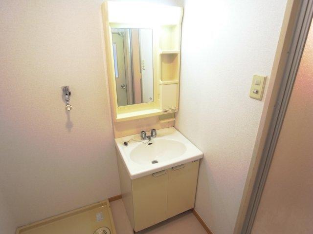ビューテラス畷B棟（302） 洗面