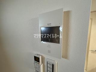 ピレーネ北条Ⅴ（201） セキュリティ