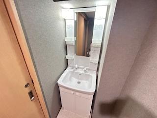 東大阪市加納マンション 洗面