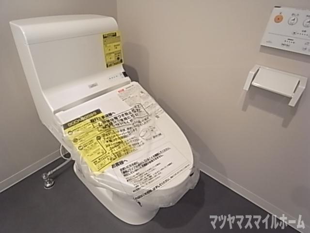 メゾンドペーシェ鴻池（302） トイレ