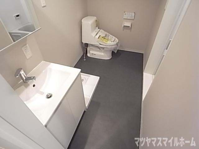 メゾンドペーシェ鴻池（302） 洗面
