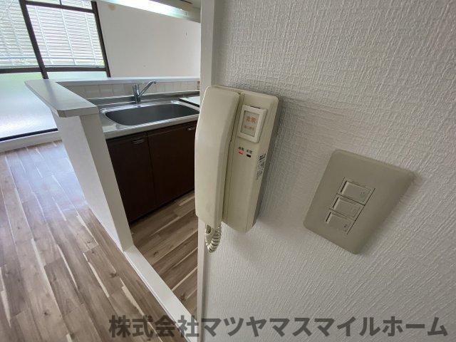 住道ファーストハイツ（202） セキュリティ