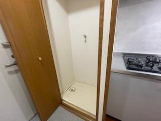 ドゥシャルマンはいづか（210） その他