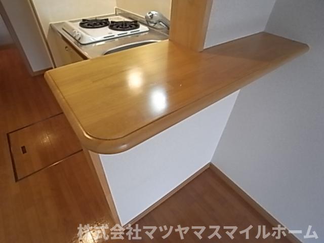 サンアビテ（106） キッチン