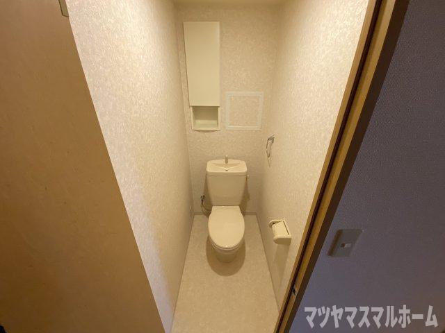 カーサリーヴァ（301） トイレ