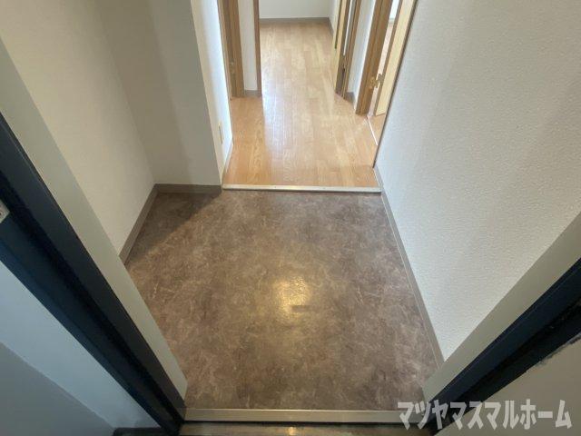 リッチマンション（302） その他