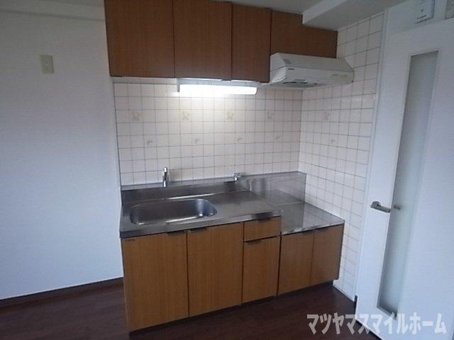 フローリッシュ北田（507） キッチン