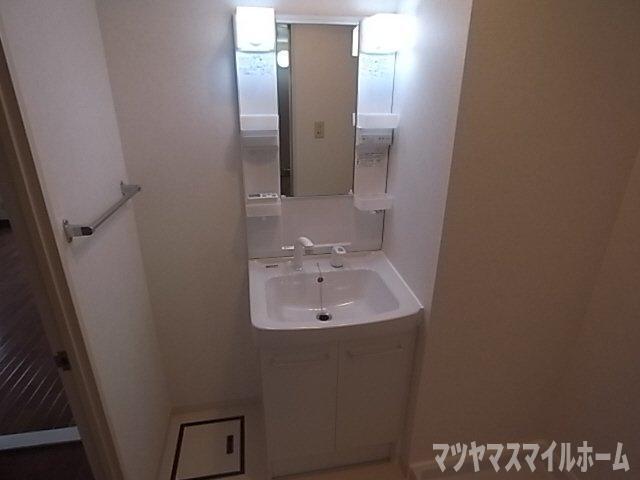 フローリッシュ北田（507） 洗面