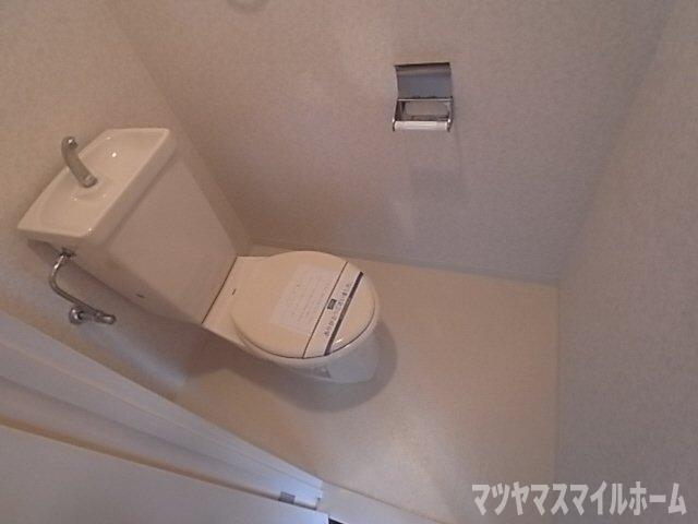 フローリッシュ北田（507） トイレ
