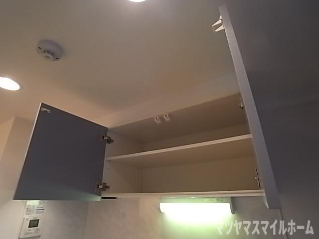 CASSIA住道（311） 収納
