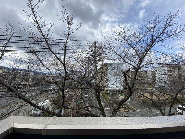 プライムスタイル深野（301） 部屋画像
