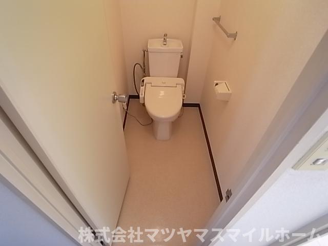 ビューテラス畷A棟（305） トイレ