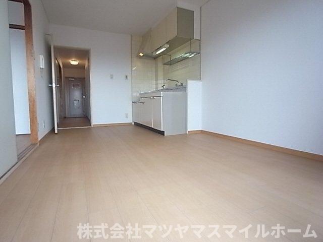 ビューテラス畷A棟（305） 室内