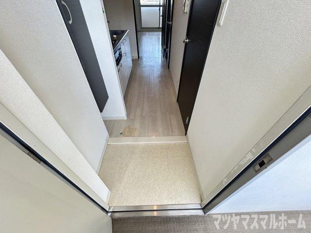 ディアコートハナテン（503） 玄関
