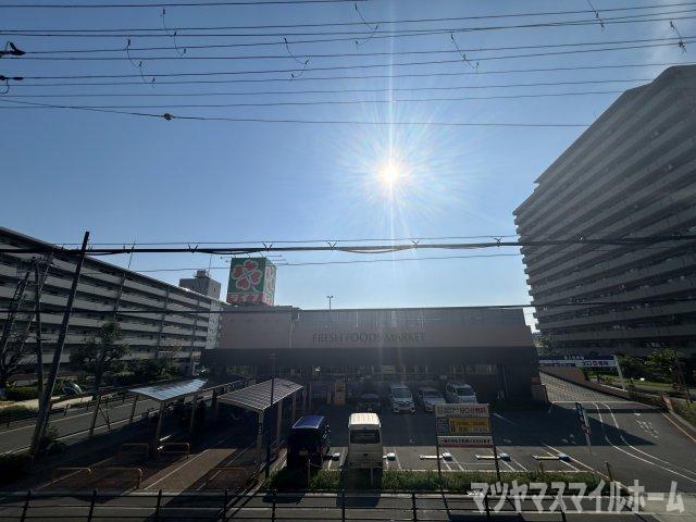 創（204） 部屋画像