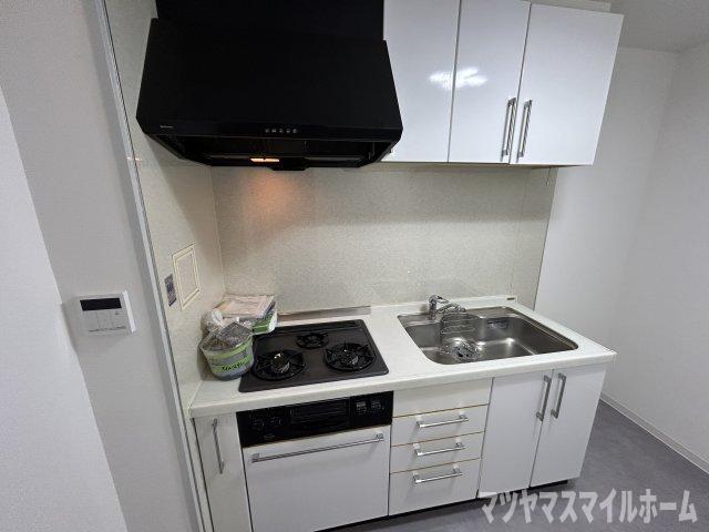 ウエストプラザ（510） キッチン