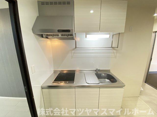フジパレス吉田本町Ⅰ番館（305） キッチン