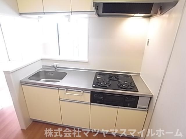アルシオネ（208） キッチン