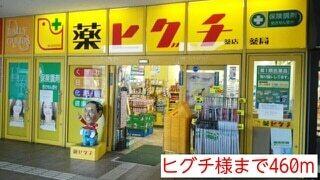 ヒグチ薬局：460m
