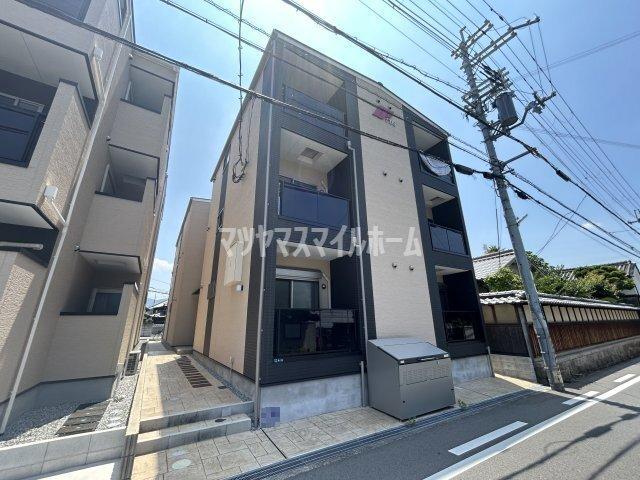 F asecia Rumina（304） 外観