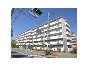 全戸南向きです